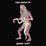 Chad VanGaalen - Shrink Dust