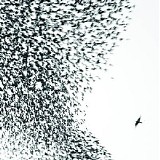 Wilco - Sky Blue Sky