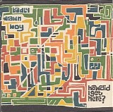 Badly Drawn Boy - How Did I Get Here?