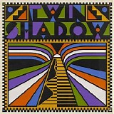 Twin Shadow - Twin Shadow