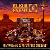 Various artists - What You Gonna Do When The Grid Goes Down?