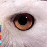Mari Boine - Gula Gula