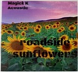 Magick K Acoustic - Roadside Sunflowers