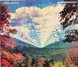 Tame Impala - Innerspeaker