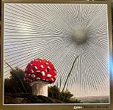 Lotus - Bloom and Recede