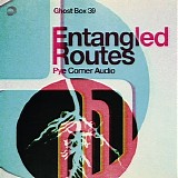 Pye Corner Audio - Entangled Routes