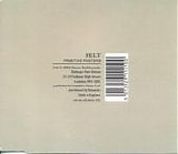 Felt - Primitive Painters