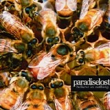 Paradise Lost - Believe In Nothing