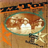 ZZ Top - One Foot In The Blues