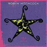 Hitchcock, Robyn (Robyn Hitchcock) - Jewels For Sophia