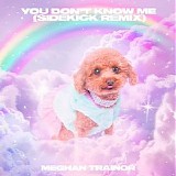 Meghan Trainor - You Don't Know Me (Sidekick Remix)