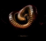 Collapse - Anagke