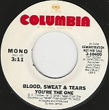 Blood, Sweat & Tears - You're The One/You're The One (US Promo)