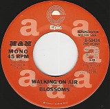 Blossoms - Walking On Air/Walking On Air (US Promo)
