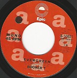 Booker T - Evergreen/Evergreen (US Promo)