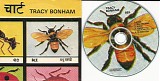 Tracy Bonham - Bee (US)