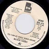 Black Ivory - You Turn My Whole World Around/You Turn My Whole World Around (US Promo)