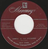 Blue Stars - Jumpin' At The Woodside/Amour, Castagnettes Et Tango (Hernando's Hideaway) (US)