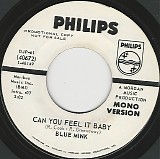 Blue Mink - Can You Feel It Baby/Can You Feel It Baby (US Promo)