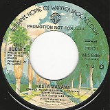 The Boones - Hasta Manana/Hasta Manana (US Promo)