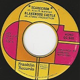 Blakewood Castle - Scarecrow/Face In The Crowd (Canada)