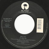 Bon Jovi - It's My Life/Next 100 Years (US)