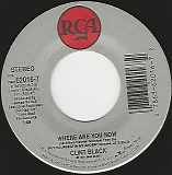 Clint Black - Where Are You Now/Muddy Water (US)