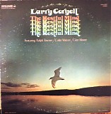 Larry Coryell - The Restful Mind