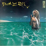 David Lee Roth - Crazy From The Heat