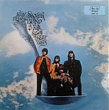 Sky Saxon Blues Band - A Full Spoon Of Seedy Blues