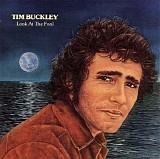 Tim Buckley - Look At The Fool