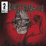 Bucketheadland - Thaw