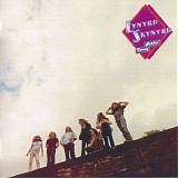 Lynyrd Skynyrd - Nuthin' Fancy