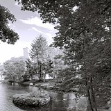 Mind Over Midi - Byskogen