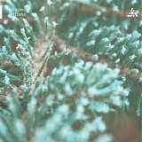 Astropilot - Pineland