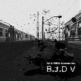SiJ & RMSS Systems Inc. - B.J.D V