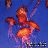 Numina - Symbiotic Spaces