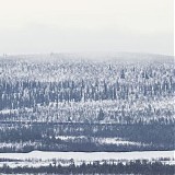 Acronym - Malm