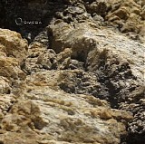 Wiese Klaus - Canyon