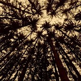 Wiese Klaus - Hypnosis