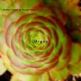 Grassow Mathias & Fricke Siegmar - Orgon