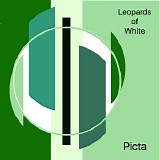 Leopards Of White - Picta