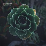 StÃ¼rtzer Martin - Photosynthesis