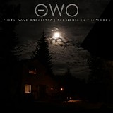 Theta Wave Orchestra - The House in the Woods