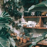 Oliviaway - Hothouse