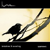 BrÃ¼ckner Michael & Everling - Sparrows