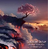 Tangerine Dream - Live in Rome 1981