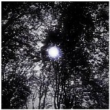 Mind Over Midi - Elektrical Aktivity 5 [Expanded]