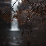 Oliviaway - After The Rain