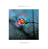 Blinkar frÃ¥n Norr - Metaphors for Things